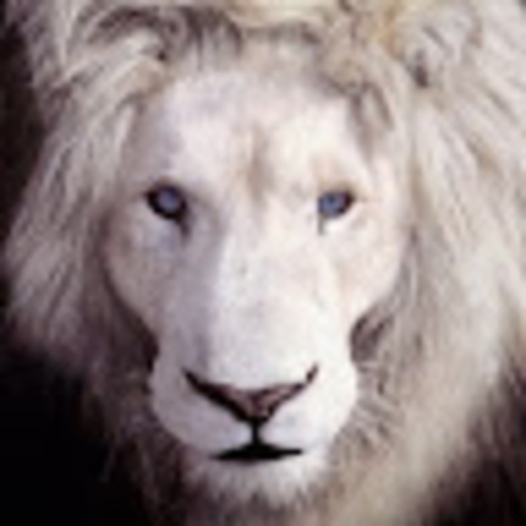 Meet your Posher, Laura - Picture 1 of 1